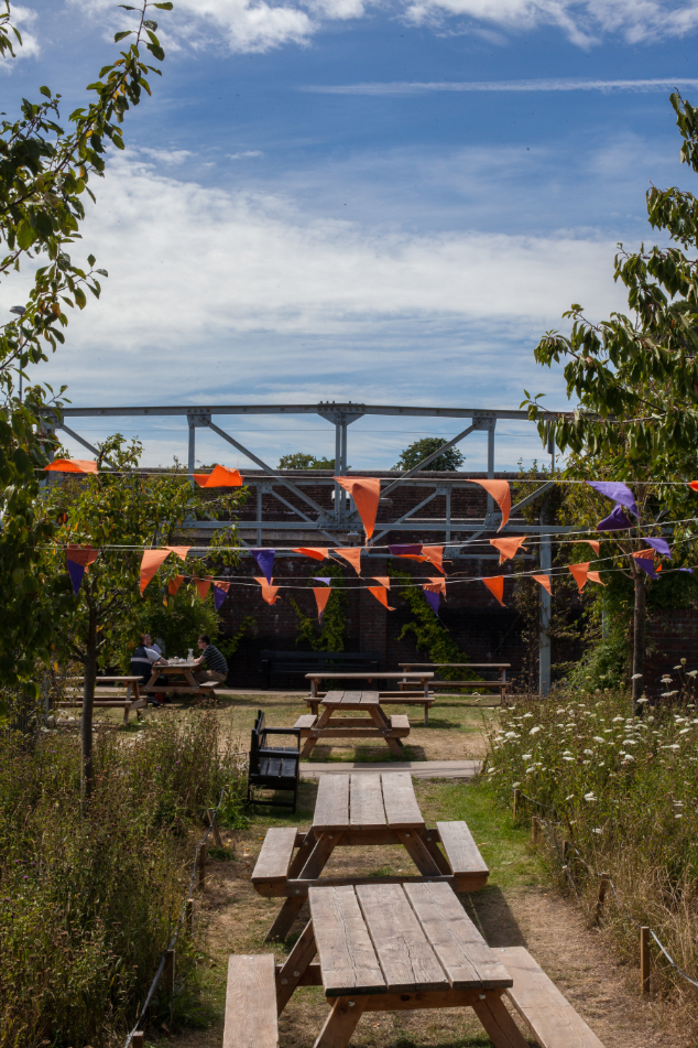 Our wild garden in summer