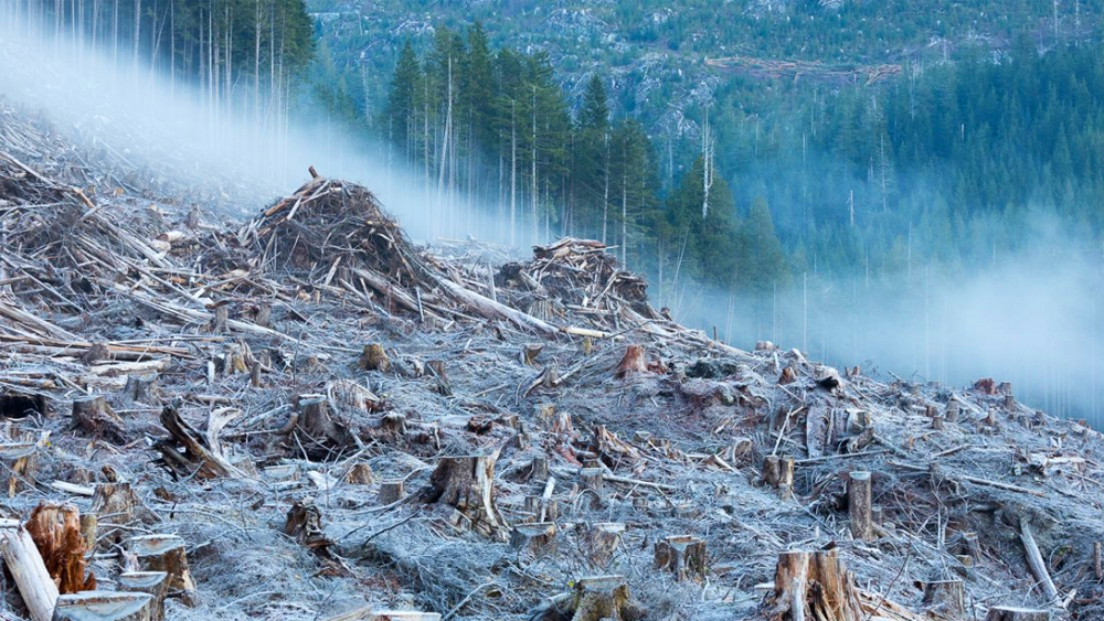 anthropocene_web_02