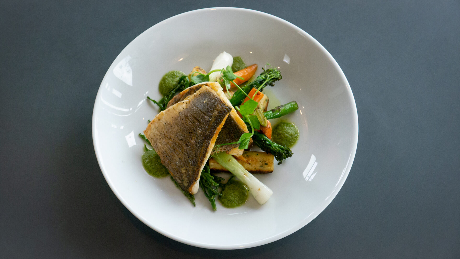 salmon_web