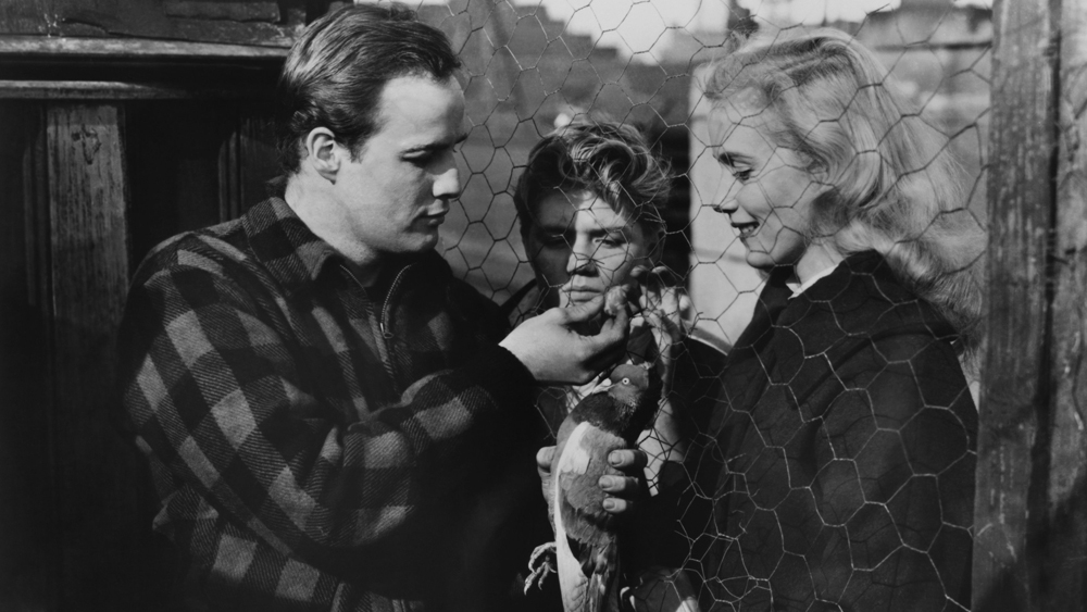 On the Waterfront--