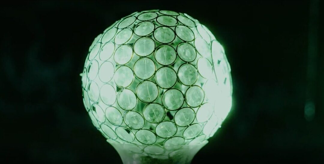 Varndean SFC Film Production Showcase, 2026--