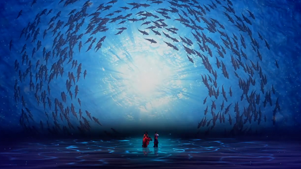 Caribbean shorts for Children and Families--