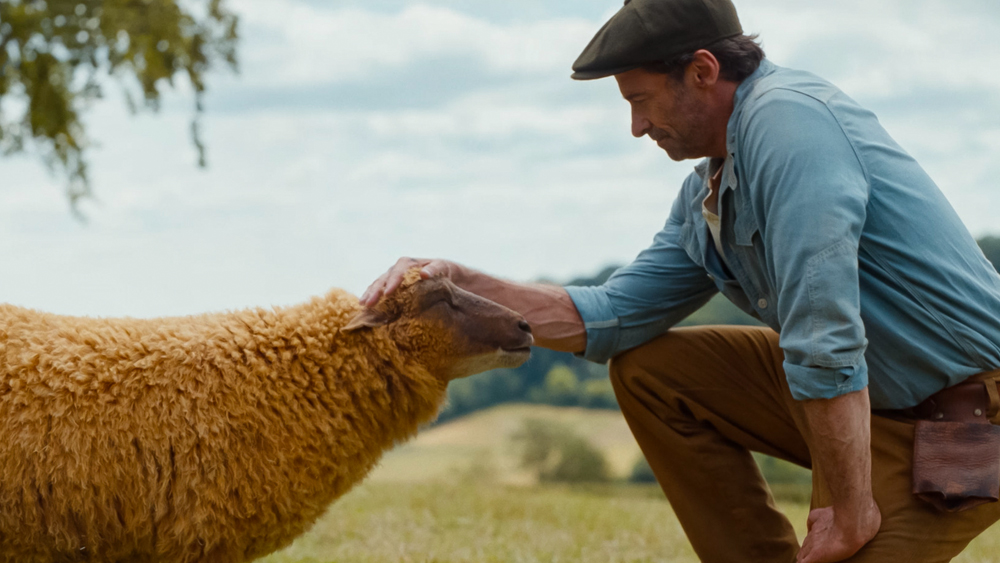 The Sheep Detectives--