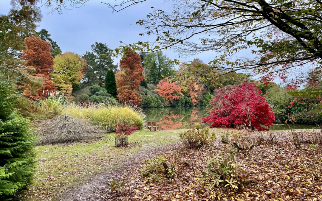 Autumn Light: Creative Photography--